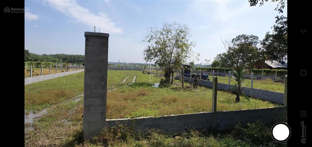 Chính chủ bán 1214.5 m² đất vườn trung lập hạ, mặt tiền kênh, gần đường dẫn cao tốc mộc bài