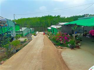 Cho thuê trang trại 7000m² tại lộc ninh  cơ hội khởi nghiệp chăn nuôi thu nhập cao