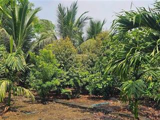 Nhượng gấp vườn hỗn hợp 6600m2 giá 295tr sẵn tc điện nước đầy đủ dân hiện hữu shr. 0325 030 ***(vy)