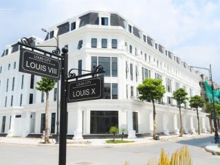 Độc quyền bán quỹ căn đẹp nhất nhì dự án louis hoàng mai, căn góc đường to kinh doanh mọi loại hình