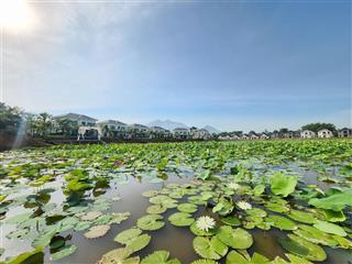 Chính chủ cần bán nhanh biệt thự thanh liên wyndham giá rẻ nhất thị trường vườn vua resort & villas