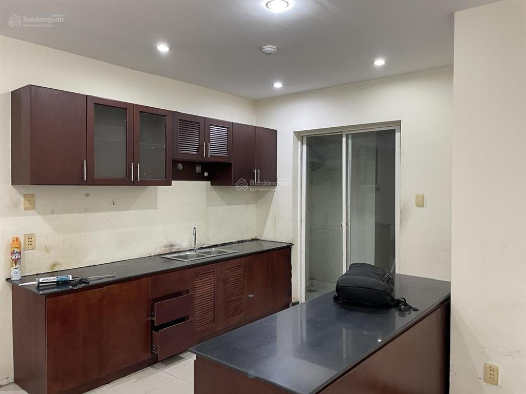 Cho thuê căn hộ the mansion  kdc 13e nguyễn văn linh, bình chánh