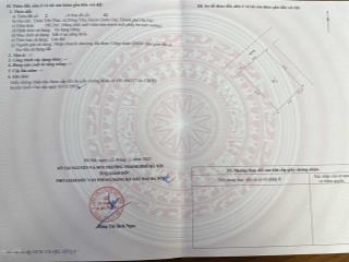 Chính chủ bán 181m2 ô góc full thổ cư mặt đường yên thái, xã đông yên, huyện quốc oai, hà nội