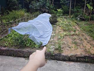 Bán đất tại tam hưng, thanh oai, hà nội, giá ưu đãi 65 triệu / m2, 70 m2, sát chợ, đường liên xã