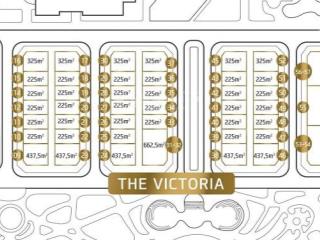 Khách vip đổi nhà nên cần bán vài căn biệt thự bason đơn lập và song lập giá tốt tử 230 tỷ  750 tỷ