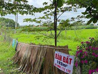 Bán đất 193m2, đất ở ,vuống vắn, đường bê tông cách đường chính 10m, view lúa.