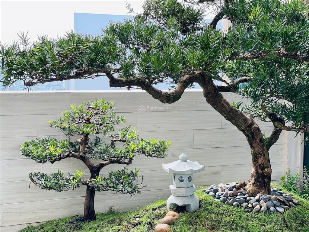 Cty kashome  chuyên bán penthouse the vista  hàng đẹp, rẻ