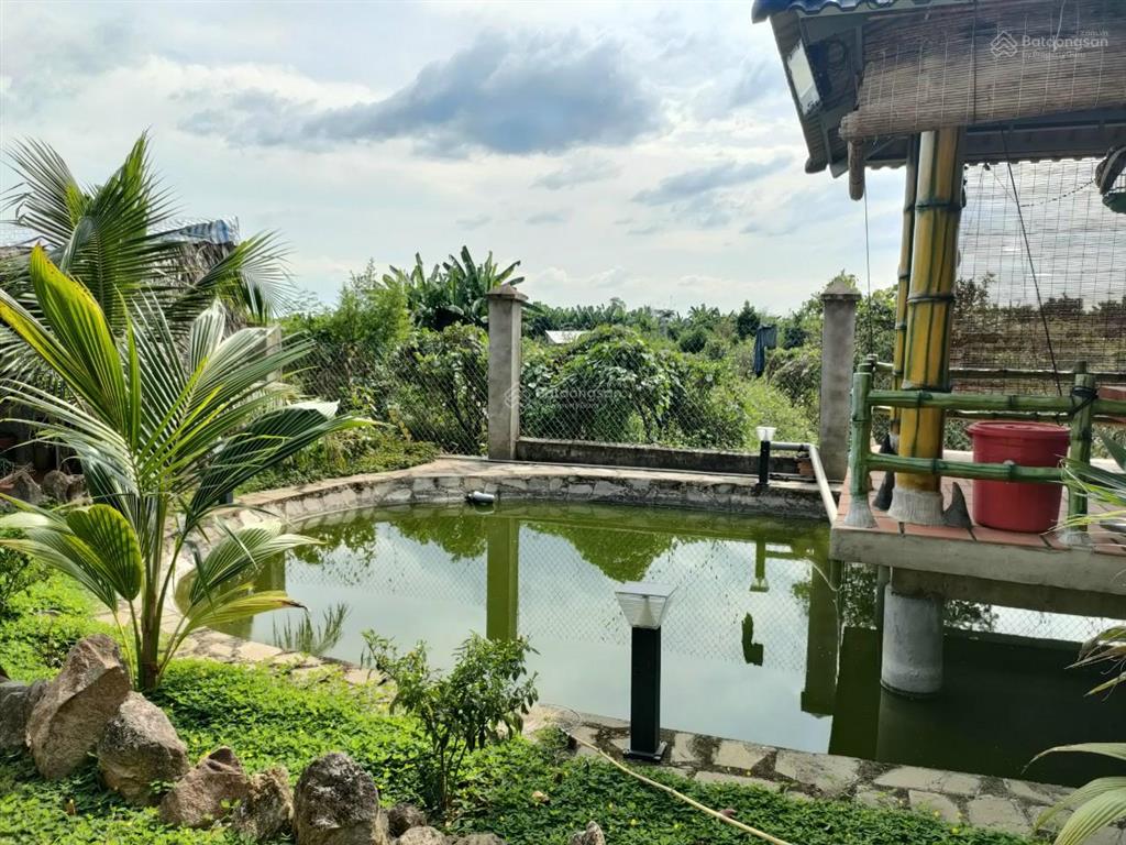 Nhà vườn 1.850m² bán gấp chỉ 3 tỷ 950tr thương lượng chính chủ. cách chợ, trường học 1km