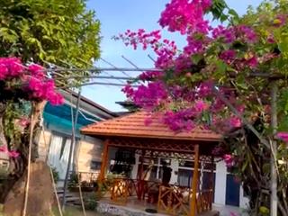 Biệt thự sân vườn diện tích 2007m², gia đình cần bán nhanh giá 3,9 tỷ
