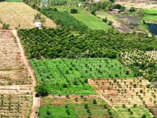 Chủ gửi bán gấp lô đất 2000m2 cách ql 20 3km. giá bán nhanh 390 triệu/sào