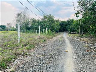 Chính chủ cần bán lô đất vườn tại ngọc định  định quán. diện tích 1001m2, sổ riêng