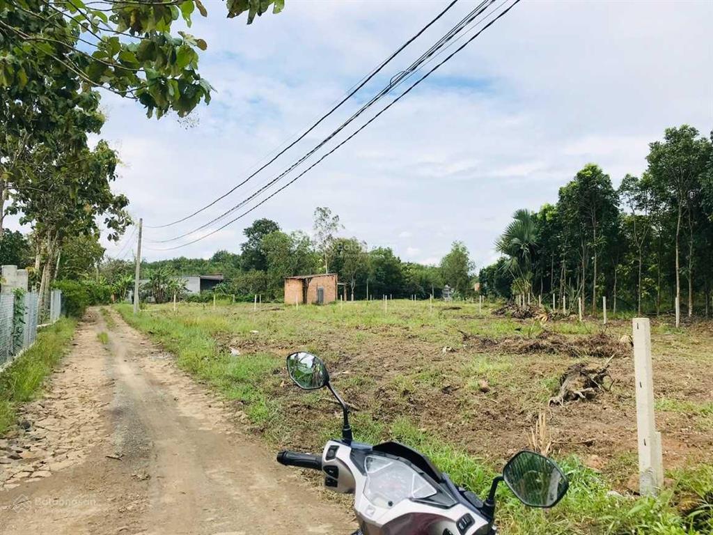 Chính chủ cần bán lô đất vườn tại ngọc định  định quán. diện tích 1001m2, sổ riêng