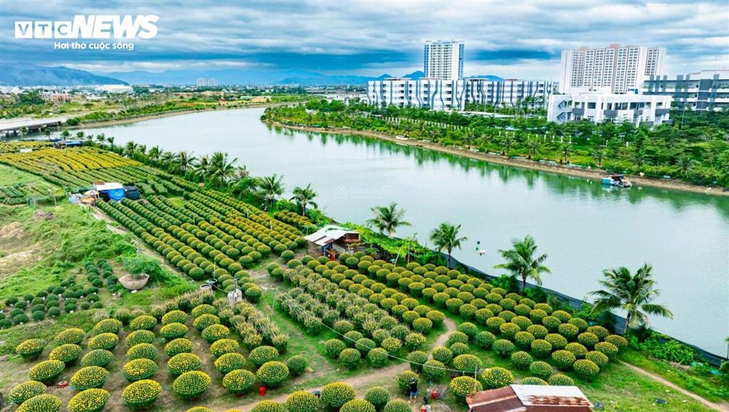 Giá sốc chỉ từ 350 triệu sở hữu ngay căn hộ sổ hồng 2pn gần trung tâm hành chính mới của tỉnh