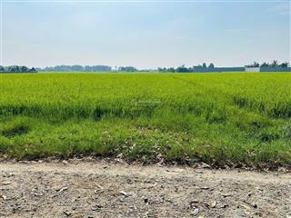 Bán 500m2 đất thổ + vườn chỉ 1 sẹt tl9 vào 150m làm nhà vườn, kho xưởng, sổ hồng riêng