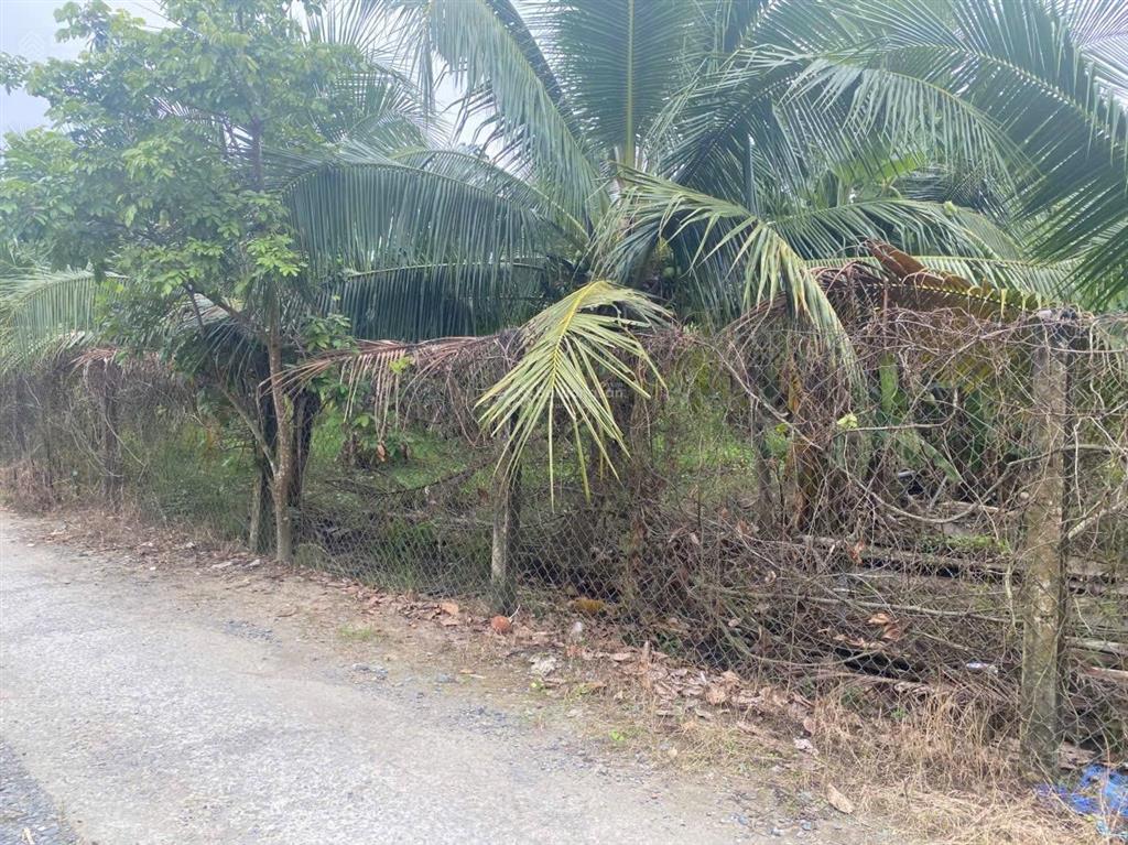 Bán đất lô góc 2 mặt tiền 7.800m đh173  xã sơn hoà  châu thành  bến tre gần cầu rạch miễu 2