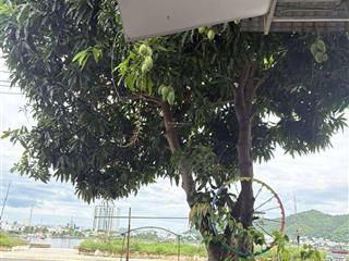 Bán nhà cấp 4 ngang 5m, mặt tiền view biển, đường nguyễn văn linh, nha trang