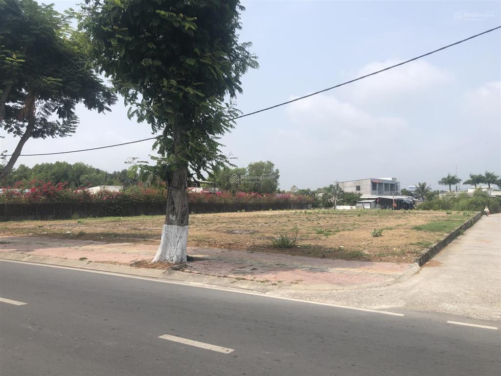 Bán 2.500m² đất thổ cư vip mặt tiền đào cử trung tâm cần thạnh  cần giờ