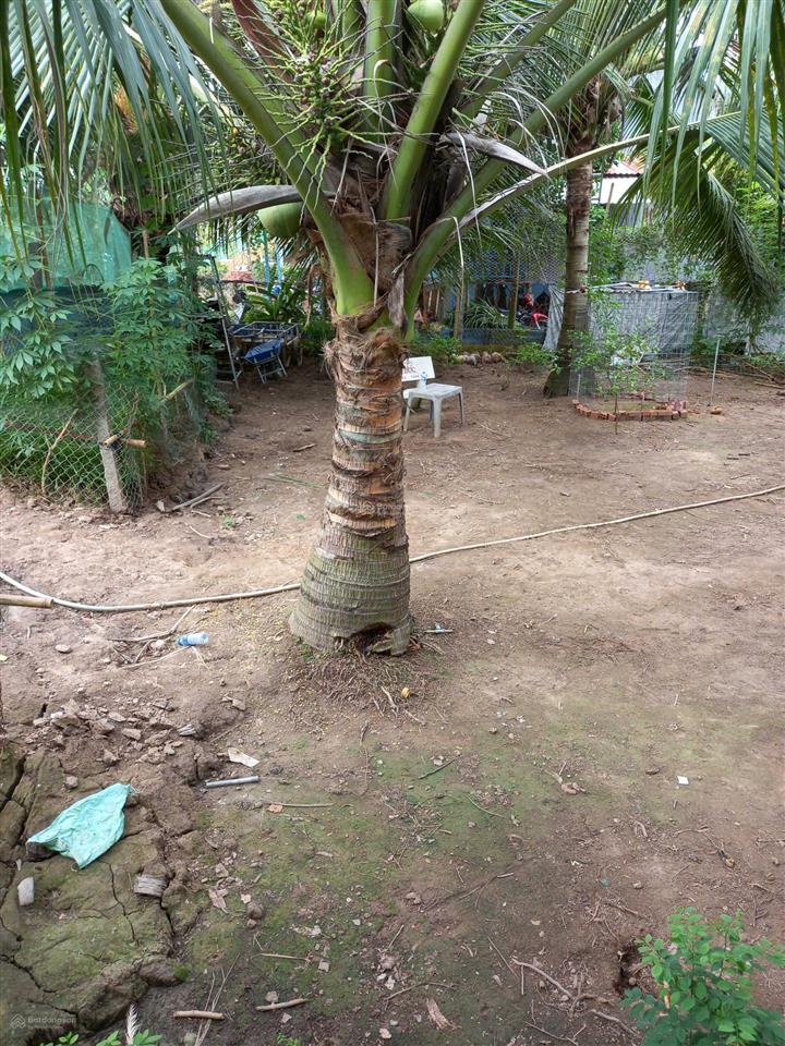 Bán đất xã bình hoà 95m2 giá 1,7 tỷ