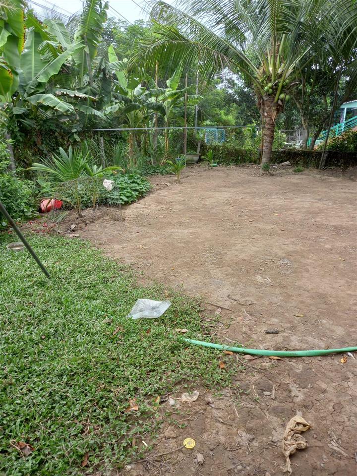 Bán đất 2800m2, có 300m2 thổ cư, giá 10 tỷ