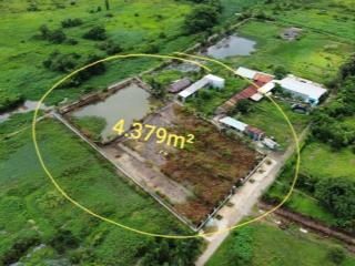 Đất vườn sinh thái view sông cực đẹp 45x90m giá đầu tư