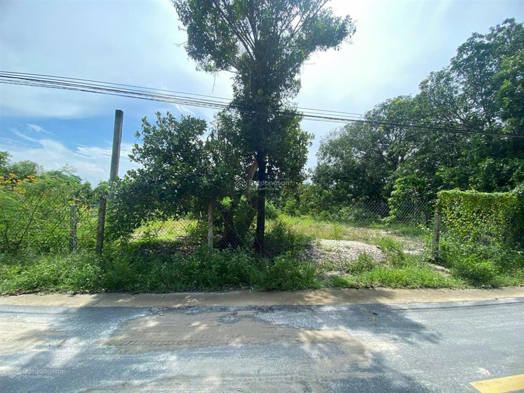 600m2 đất mặt tiền đường 14m sát quốc lộ 1a. đối diện trường th cam thành bắc,giá đầu tư