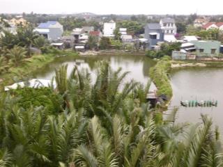 Vừa rẻ vừa đẹp! chỉ 1ty3x sở hữu lô đất view dừa sau nhà, đường dx17 cẩm thanh, khí hậu trong lành