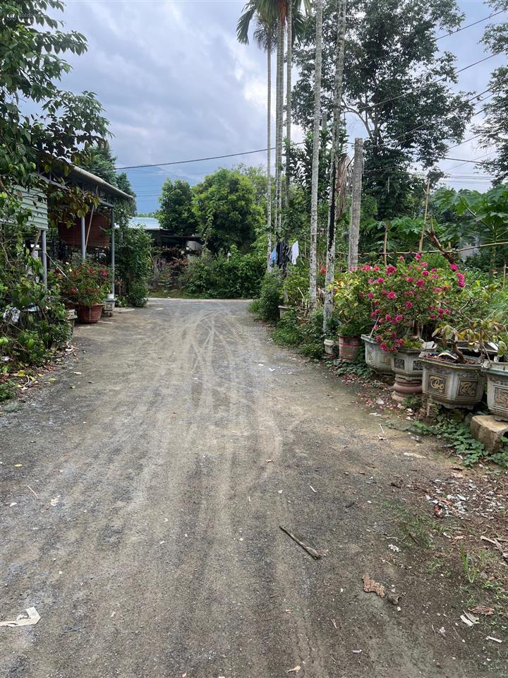 Lô đất kiệt tại an sơn, bà nà nhà vườn hoà ninh, giá siêu rẻ chỉ 900 triệu 0905 556 ***