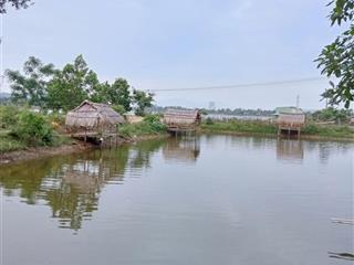 Cần bán nhà cấp 4  hoà liên  liên chiểu giá rẻ 1.7 tỷ view hồ 150m2