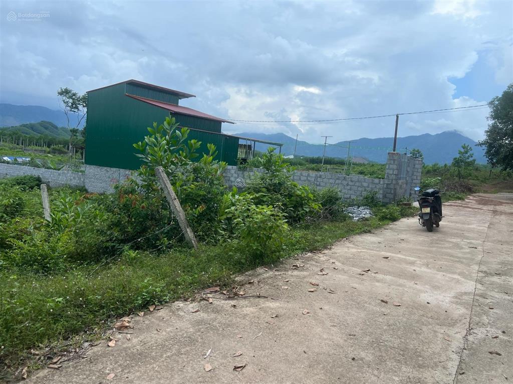 300m2 đường ô tô tránh nhau tại chợ hoà ninh  bà nà giá chỉ 1.65 tỷ, có 60m2 đất ở siêu rẻ