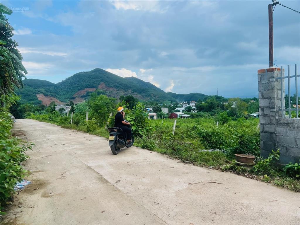 300m2 đường ô tô tránh nhau tại chợ hoà ninh  bà nà giá chỉ 1.65 tỷ, có 60m2 đất ở siêu rẻ