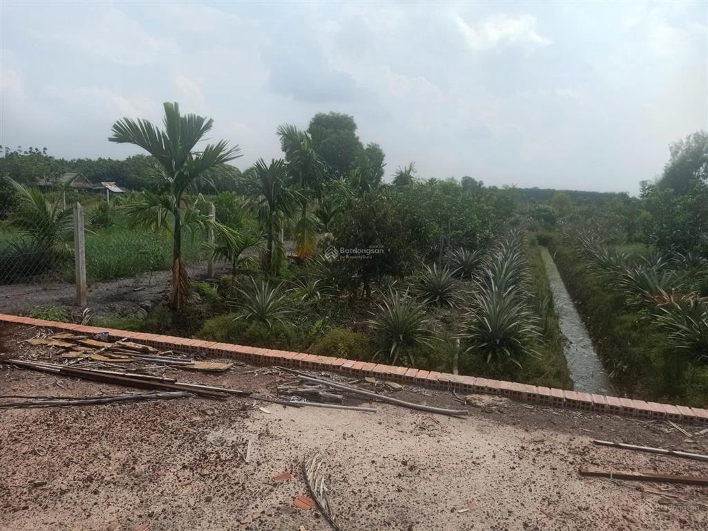 Đất vườn trái cây, ao cá gần sông sài gòn chỉ hơn 2tr/m2