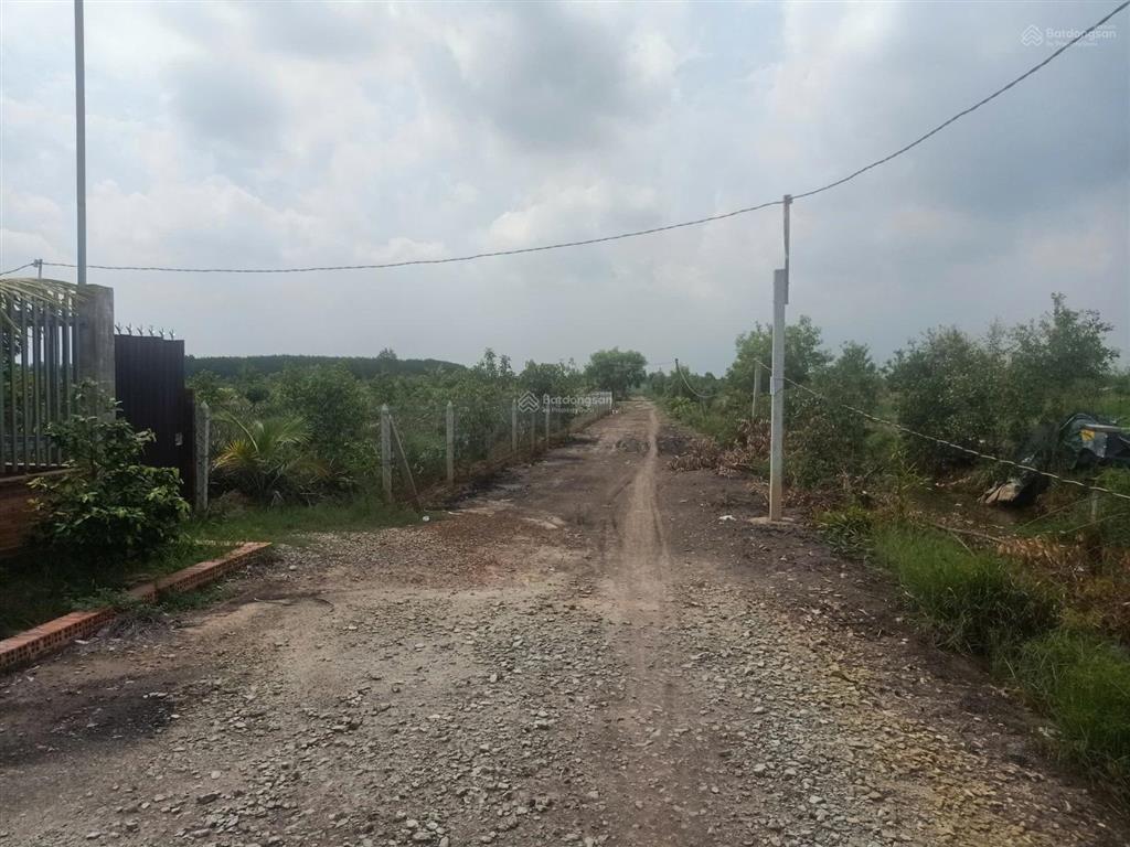 Đất vườn trái cây, ao cá gần sông sài gòn chỉ hơn 2tr/m2