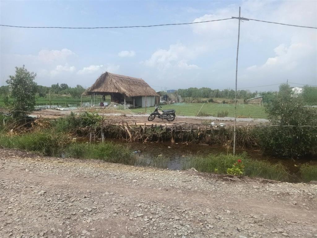 Đất vườn trái cây, ao cá gần sông sài gòn chỉ hơn 2tr/m2