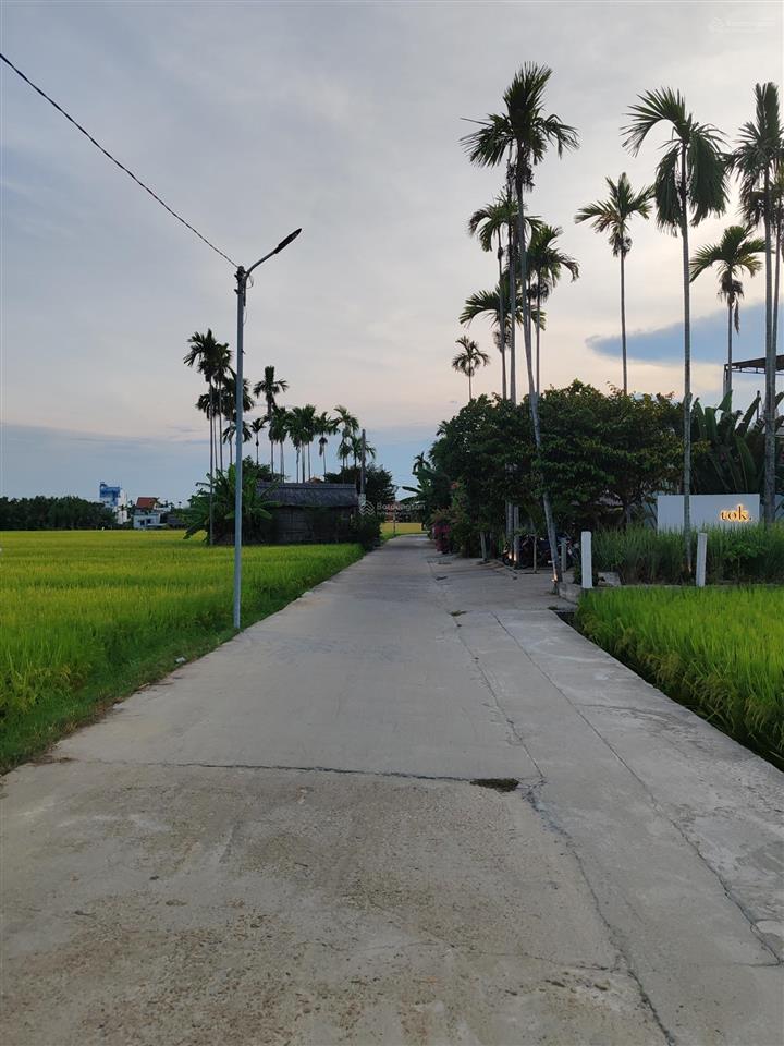 Bán lô đất view lúa trực diện  cẩm thanh