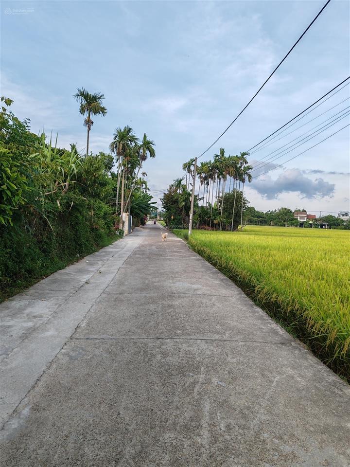 Bán lô đất view lúa trực diện  cẩm thanh