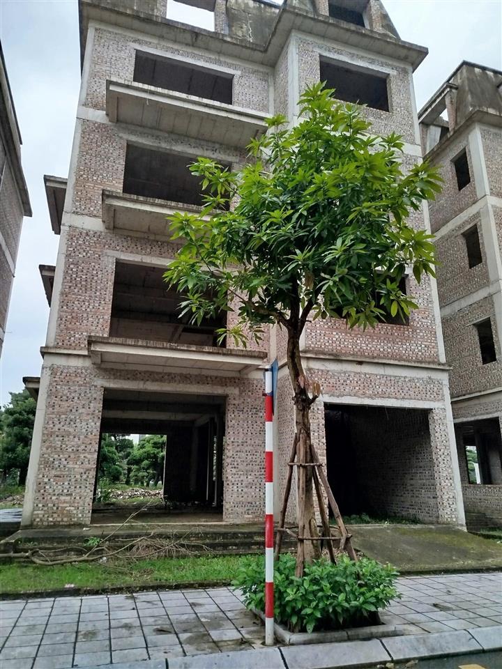 Biệt thự đẹp  vị trí cực phẩm  giá tốt tại lideco  hoài đức  hà nội