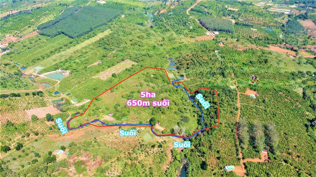 5ha phường quảng thành 600m view suối lớn, đất bằng giá cực rẻ tại thành phố gia nghĩa