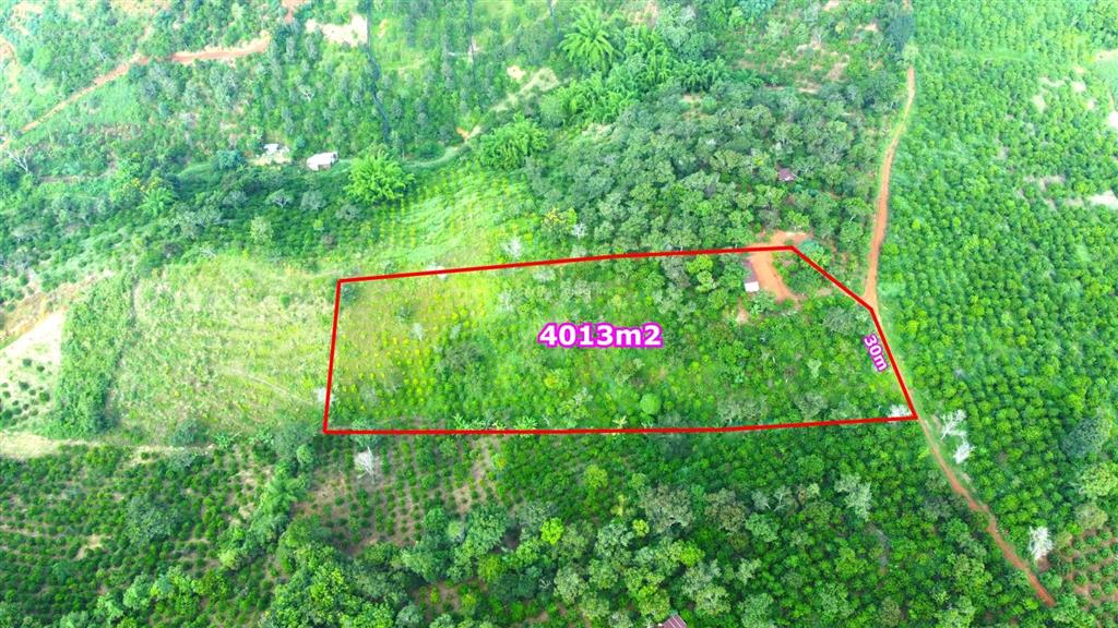 Đất rẫy giá cực rẻ, cách trung tâm 7km sát phường nghĩa đức gia nghĩa đắk nông