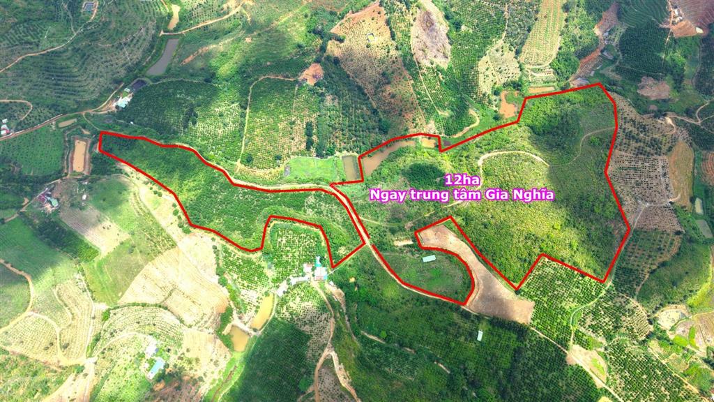 12ha đất tại trung tâm thành phố gia nghĩa giá rẻ đất bằng view suối