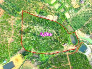 Đất rẫy không sổ nguồn thu mạnh, làm được sổ, view suối, gần đường nhựa