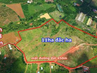 11ha đất đỏ bazan 450m mặt tiền đường đất nước tưới thoải mái