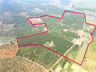 10ha đất bằng,nguồn thu mạnh,view ruộng, gần đường nhựa