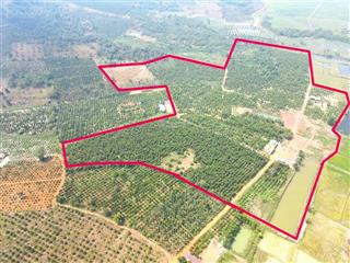 10ha đất bằng,nguồn thu mạnh,view ruộng, gần đường nhựa