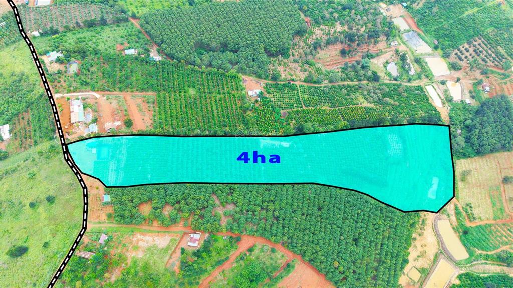 Rẫy cà phê 4ha nguồn thu mạnh, gần chùa, gần quốc lộ, điện nước đầy đủ