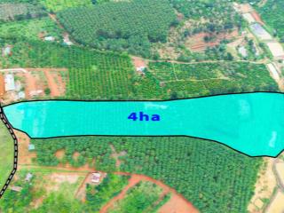 Rẫy cà phê 4ha nguồn thu mạnh, gần chùa, gần quốc lộ, điện nước đầy đủ
