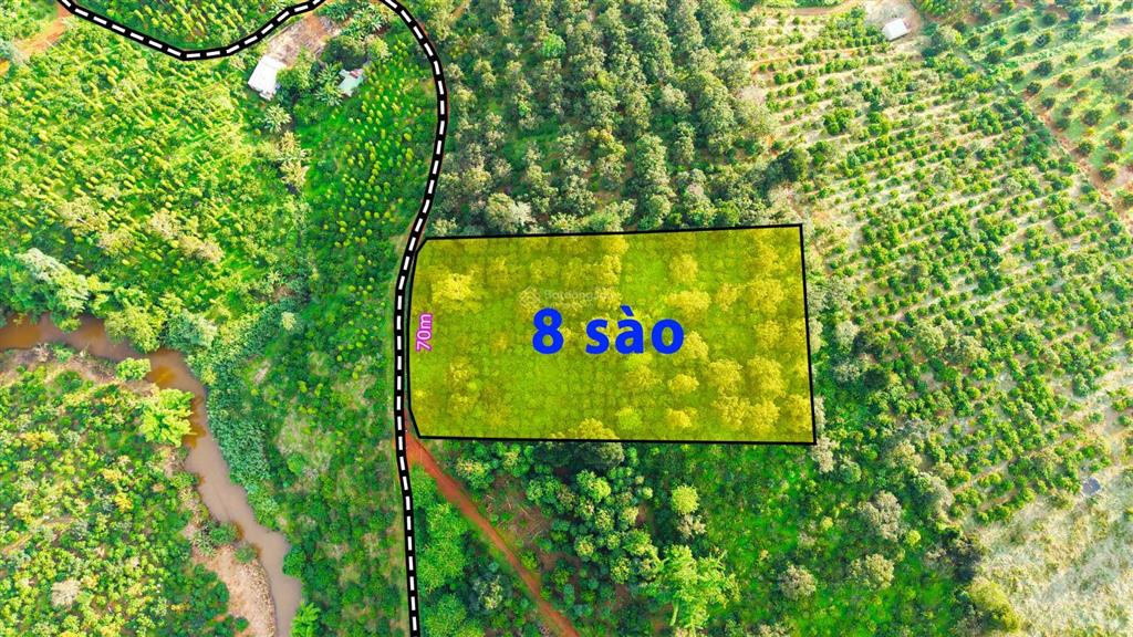 Đất rẫy 8 sào giá chỉ 900tr tại gia nghĩa