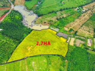 Rẫy giá rẻ, view hồ đẹp, bằng như sân bóng tại phường Bắc Gia Nghĩa