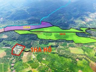 45ha đất bằng sổ đủ điện 3pha, nước thoải mái tại xã Đức Hòa Lâm Đồng