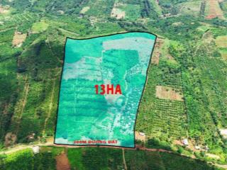 13ha đất Rẫy Cà Phê Và Sầu Riêng Giá Rẻ Tại Xã Trường Xuân Tỉnh Lâm Đồng