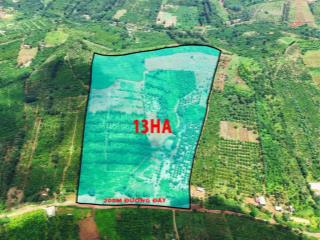 13ha đất rẫy cà phê và sầu riêng giá rẻ tại xã trường xuân tỉnh lâm đồng